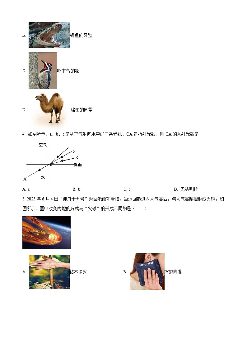 2024年天津市河西区中考一模物理试题（原卷版+解析版）02