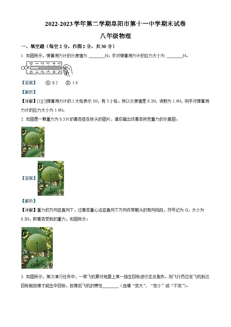 安徽省阜阳市第十一中学2022-2023学年下学期期末检测八年级物理（解析版）第1页