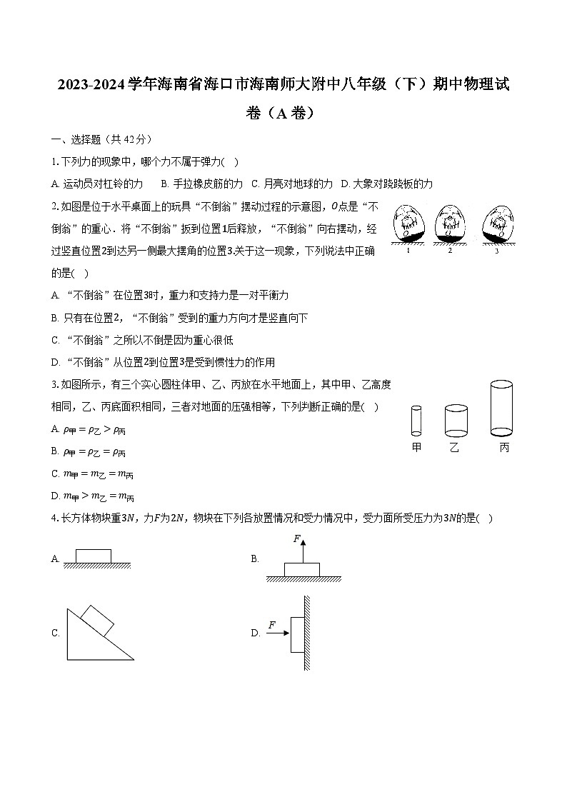 2023-2024学年海南省海口市海南师大附中八年级（下）期中物理试卷（A卷）（含解析）第1页
