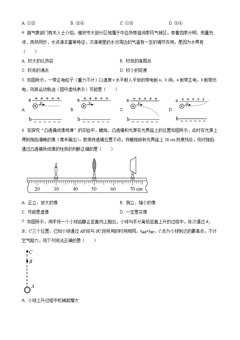 四川省广安市友实学校2023-2024学年九年级下学期期中考试物理试题（原卷版+解析版）02