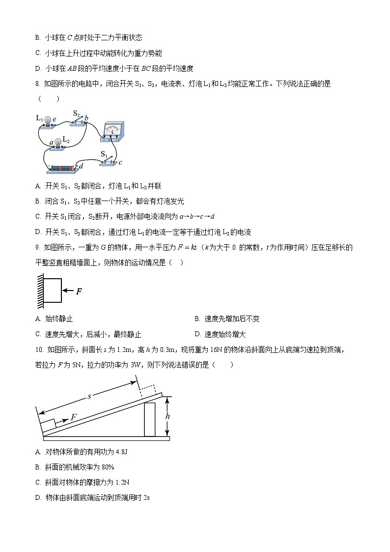 四川省广安市友实学校2023-2024学年九年级下学期期中考试物理试题（原卷版+解析版）03
