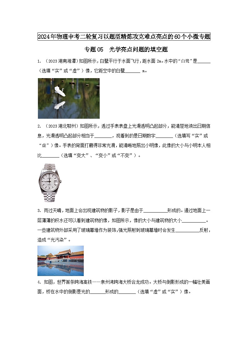 专题05 光学亮点问题的填空题 -2024年物理中考题型专练（全国通用）01
