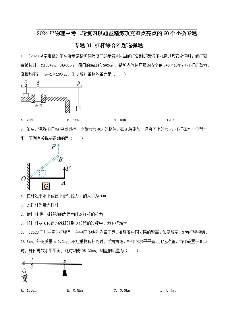 专题31 杠杆综合难题选择题-2024年物理中考题型专练（全国通用）01