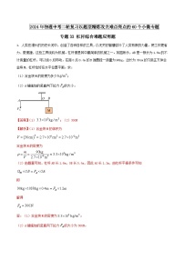 专题33 杠杆综合难题应用题 -2024年物理中考题型专练（全国通用）