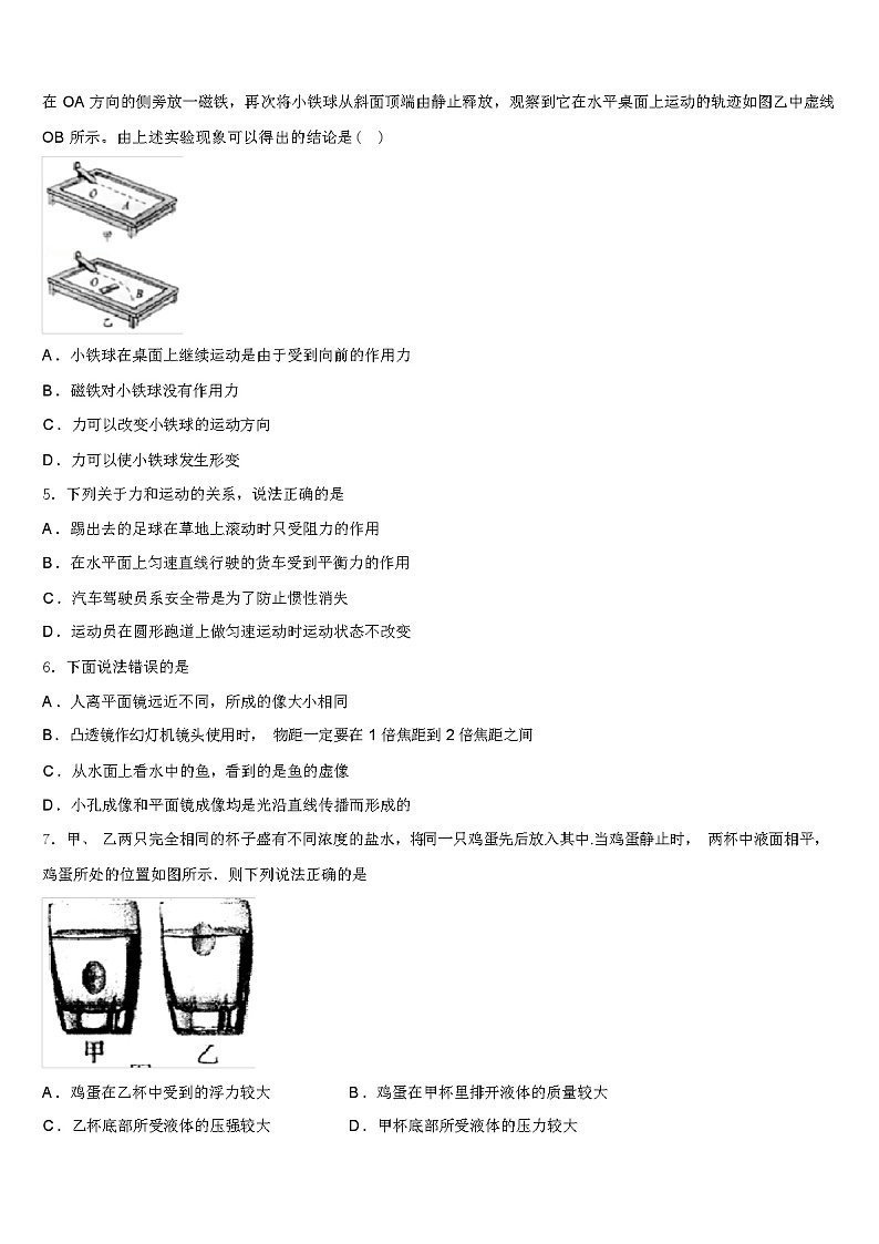 甘肃临夏和政县2024年中考物理模拟试题（解析版）第2页