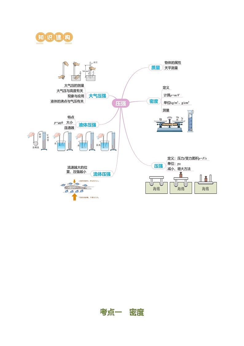 专题06 密度 压强（讲练）- 中考物理二轮复习讲与练（全国通用）03