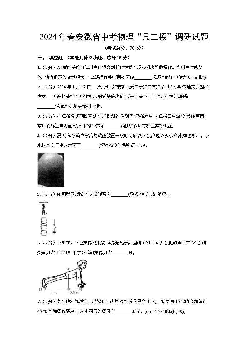 2024年春安徽省中考物理“县二模”调研试题（含答案）第1页