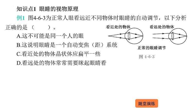 4.6 神奇的眼睛  课件 2023-2024学年物理（沪科版）八年级全一册03