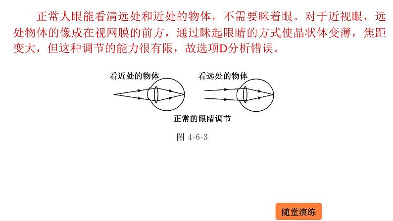 4.6 神奇的眼睛  课件 2023-2024学年物理（沪科版）八年级全一册05