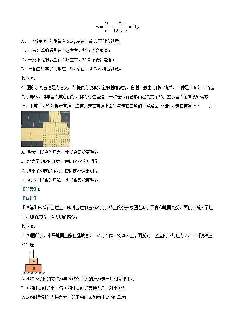 河北省石家庄高邑二中2023-2024学年八年级下学期期中物理试题（解析版）第2页