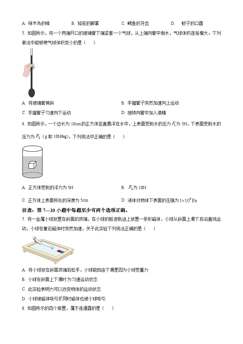 辽宁省沈阳市于洪区2023-2024学年八年级下学期期中阶段性测试物理试题（原卷版+解析版）02