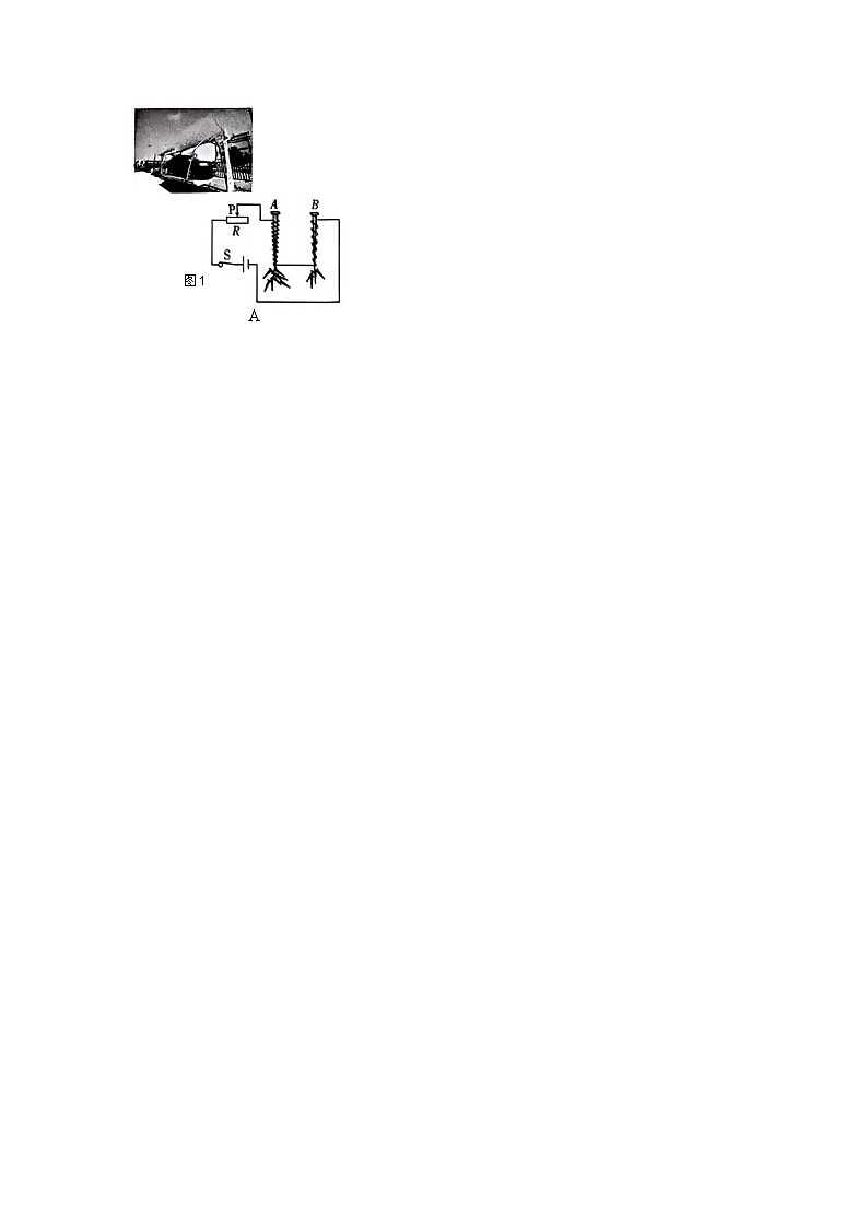2024年云南省文山市中考二模物理试题第3页