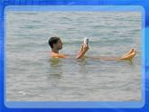 物体的浮沉条件pptx