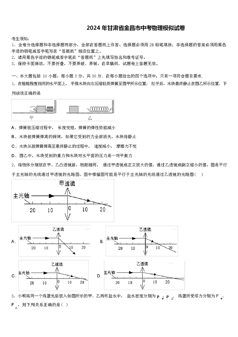 2024 年甘肃省金昌市中考物理模似试卷（解析版）01