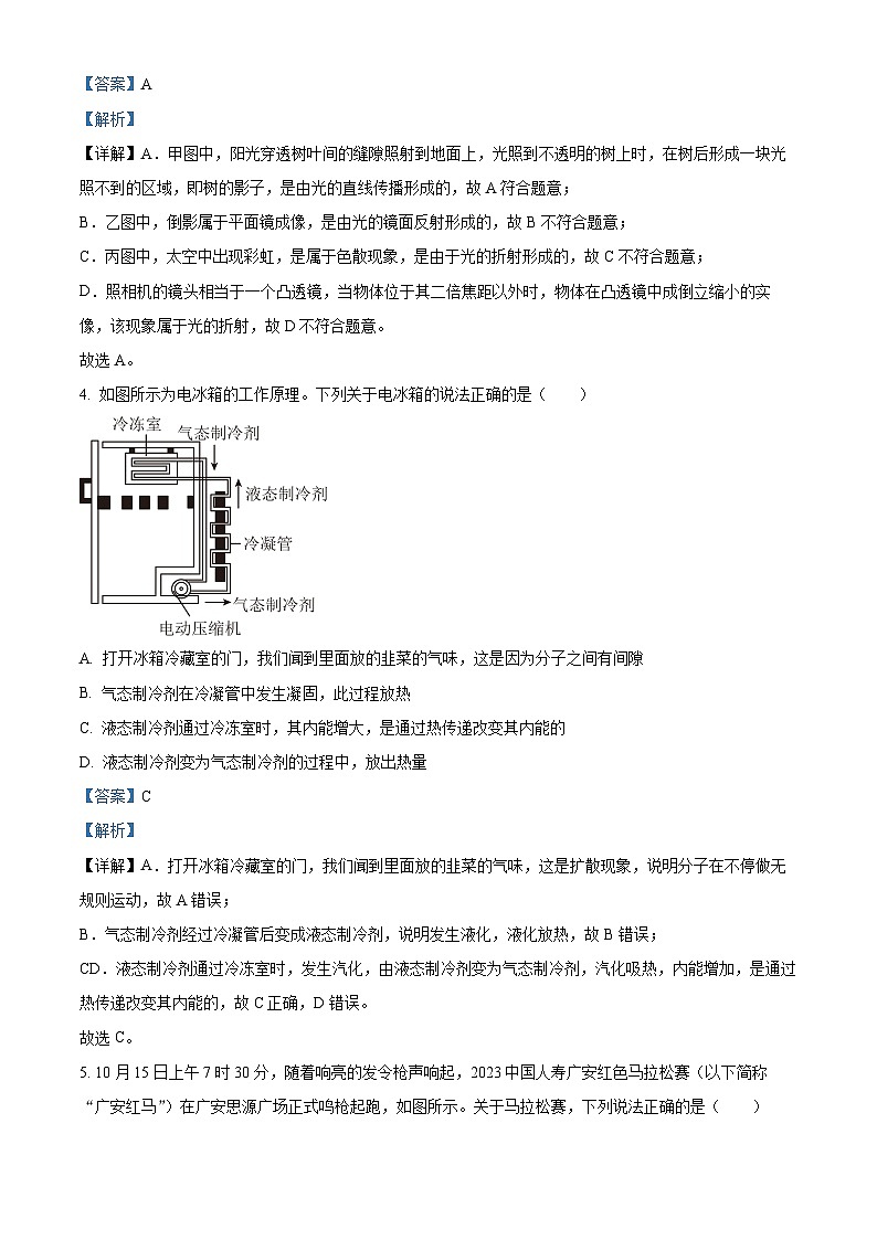 43，2024年四川省广安市岳池县九年级下学期物理诊断考试（二）第3页