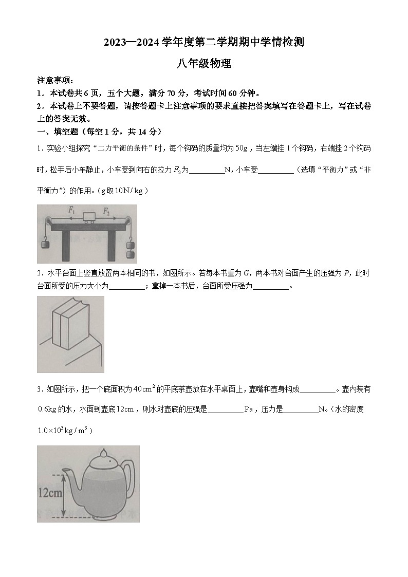 河南省商水县2023－2024学年八年级下册物理期中测试卷01