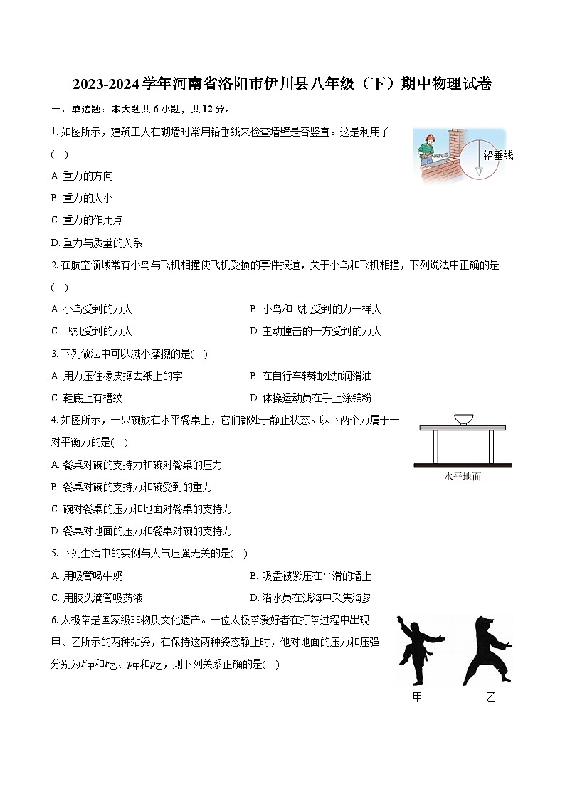 2023-2024学年河南省洛阳市伊川县八年级（下）期中物理试卷（含解析）第1页