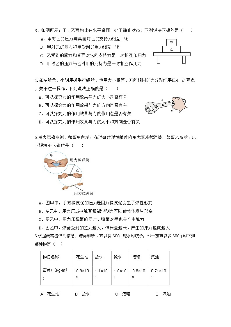 广东省广州市凤凰中英文学校2023-2024学年八年级下学期期中物理试题02