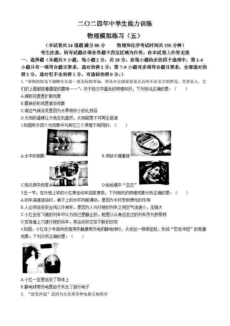2024年辽宁省铁岭市九年级中考物理模拟试卷（五）第1页
