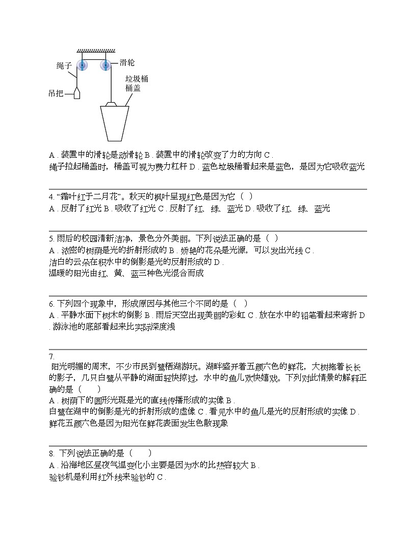 中考物理冲刺必刷专题：物体的颜色第2页