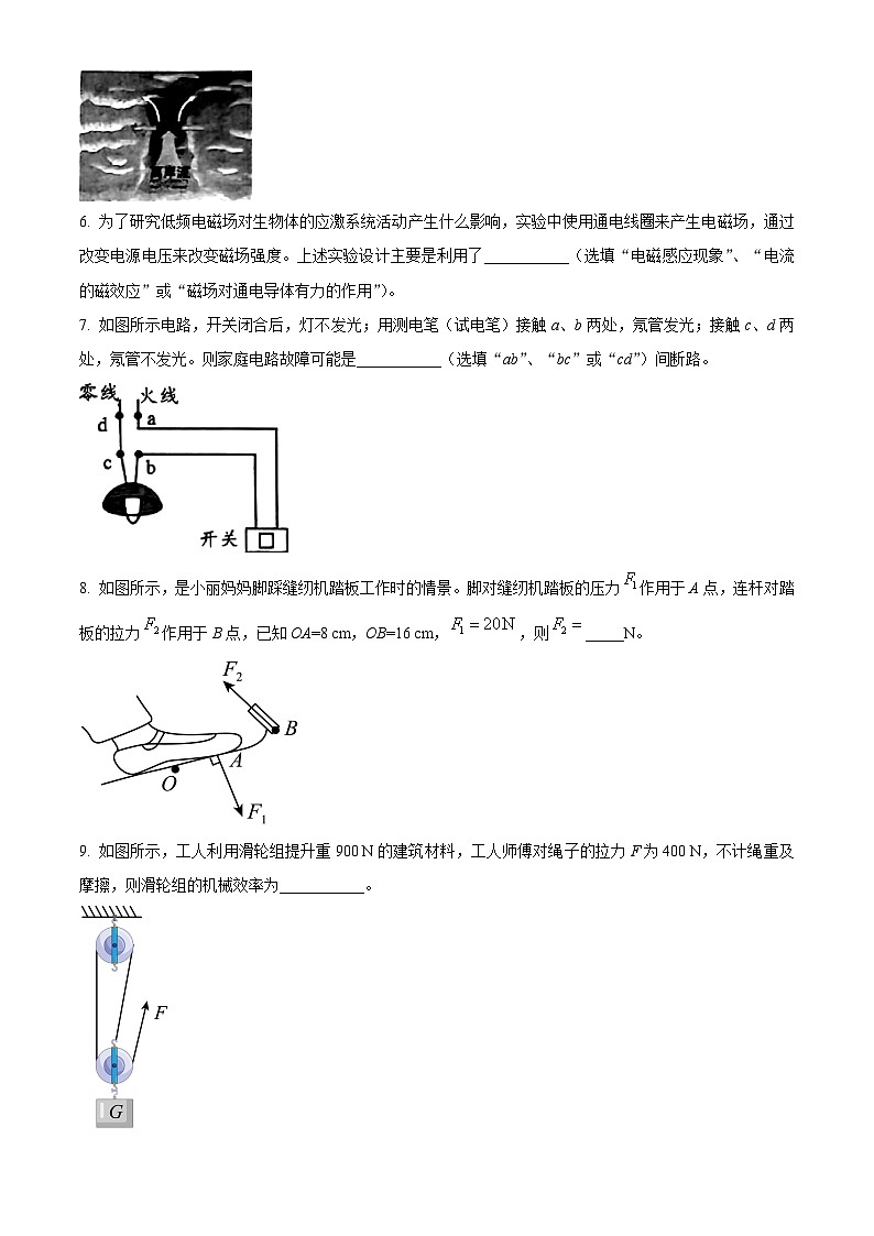 2024年安徽省滁州市来安县九年级中考二模试卷物理试题（原卷版+解析版）02