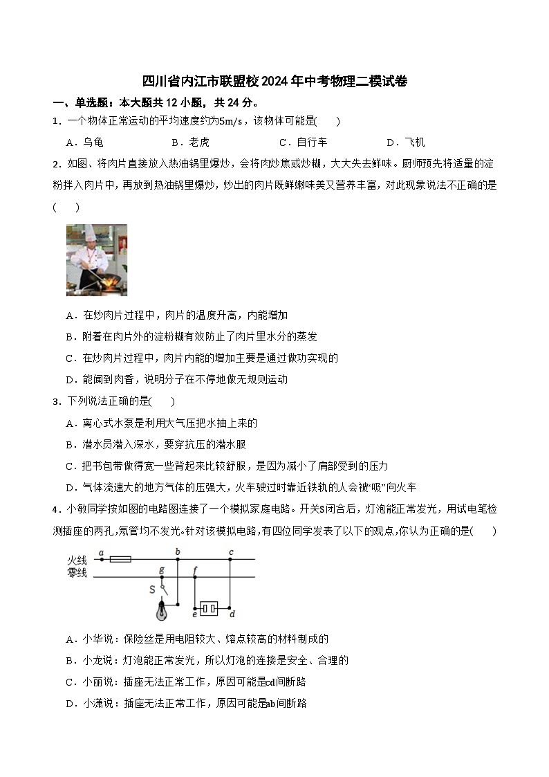 2024年四川省内江市联盟校中考二模物理试卷01