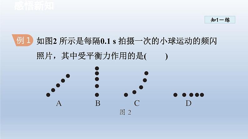 2024八年级物理下册第七章力与运动第三节力的平衡课件（沪科版）第8页