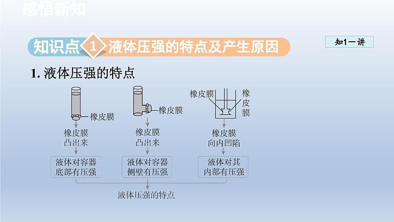 2024八年级物理下册第八章压强第二节科学探究：液体的压强课件（沪科版）03