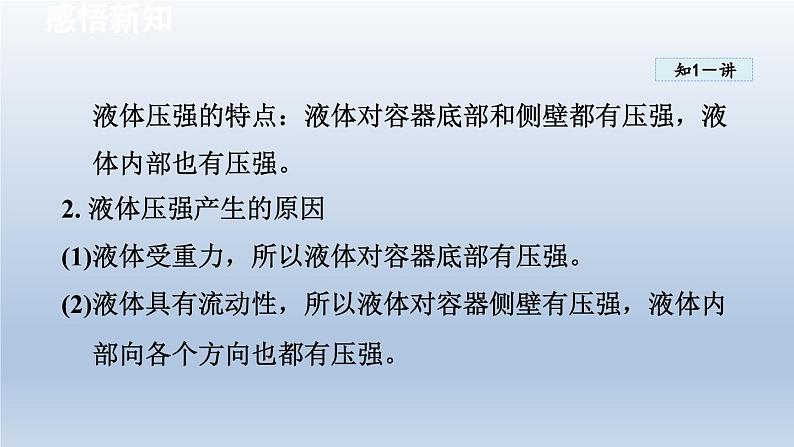 2024八年级物理下册第八章压强第二节科学探究：液体的压强课件（沪科版）04