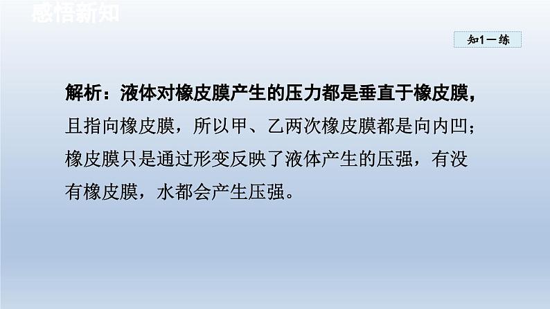 2024八年级物理下册第八章压强第二节科学探究：液体的压强课件（沪科版）08
