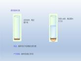 2024八年级物理下册第八章压强第二节科学探究：液体的压强上课课件（沪科版）