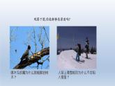 2024八年级物理下册第八章压强第一节压力的作用效果上课课件（沪科版）