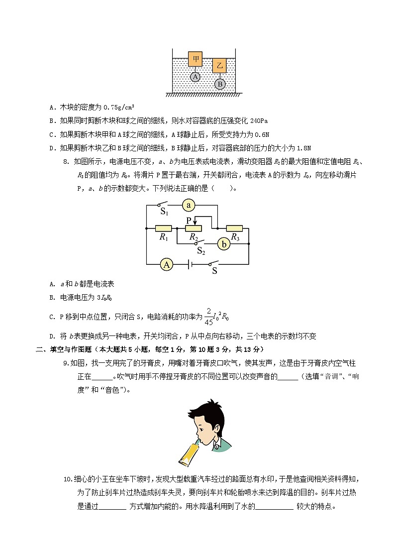 2024年中考物理第三次模拟考试（河北卷）（考试版）03