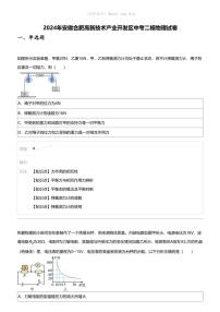 2024年安徽合肥高新技术产业开发区中考二模物理试卷