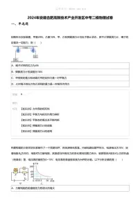 2024年安徽合肥高新技术产业开发区中考二模物理试卷