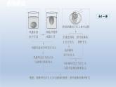 2024八年级物理下册第九章浮力第二节阿基米德原理课件（沪科版）