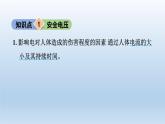 2024九年级物理全册第13章电功和电功率13.6安全用电上课课件（北师大版）