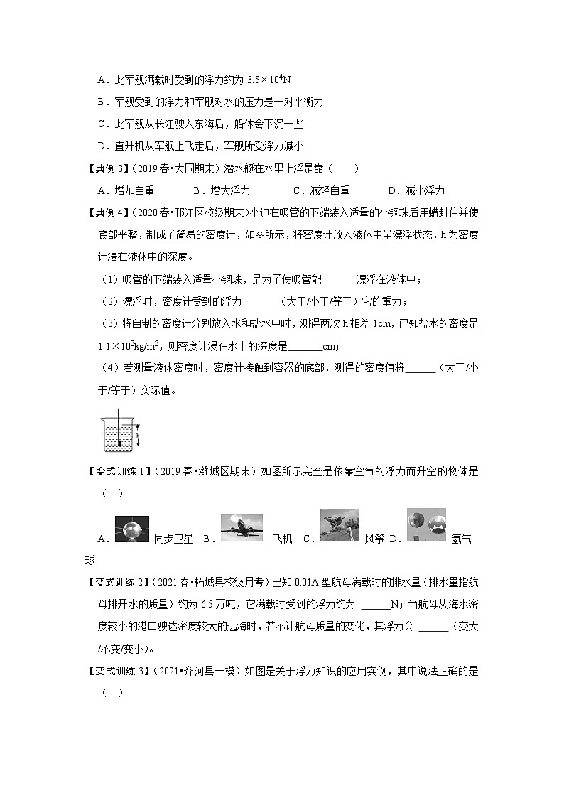 人教版八年级物理下册同步考点专题训练10.3物体的浮沉条件及应用(原卷版+解析)第2页