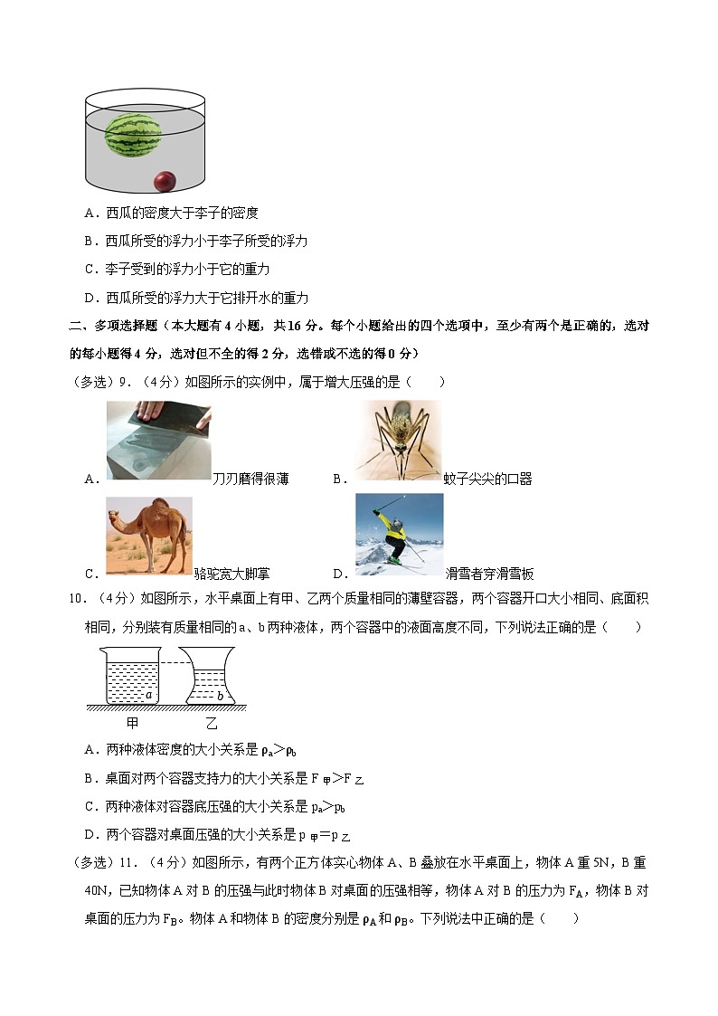 03，山东省昌邑市2023-2024学年下学期八年级物理期中考试试题第3页