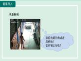 2024九年级物理全册第15章探究电路15.5家庭用电课件（沪科版）
