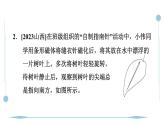 第二十章　电与磁 全章热门考点整合应用  课件人教版物理九年级上学期