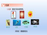 教科版物理八年级上册 第四章1.光源 光的传播课件