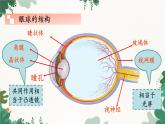 教科版物理八年级上册 第四章6.神奇的眼睛课件