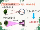 教科版物理八年级上册 第四章6.神奇的眼睛课件