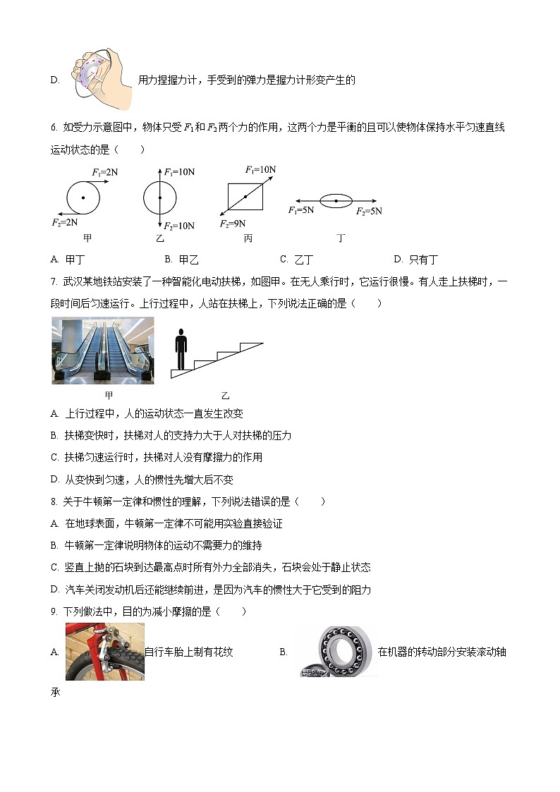 湖北省武汉市东湖高新区2023-2024学年八年级下学期期中物理试题（原卷版+解析版）03
