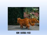 人教版物理八年级上册 第四章第三节 平面镜成像课件