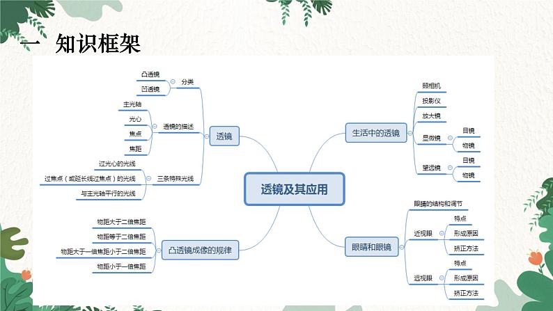 人教版物理八年级上册 专题五  透镜及其应用课件02