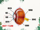 人教版物理八年级上册 第五章第四节 眼睛和眼镜课件