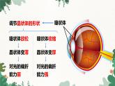 人教版物理八年级上册 第五章第四节 眼睛和眼镜课件