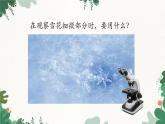 人教版物理八年级上册 第五章第五节 显微镜和望远镜课件